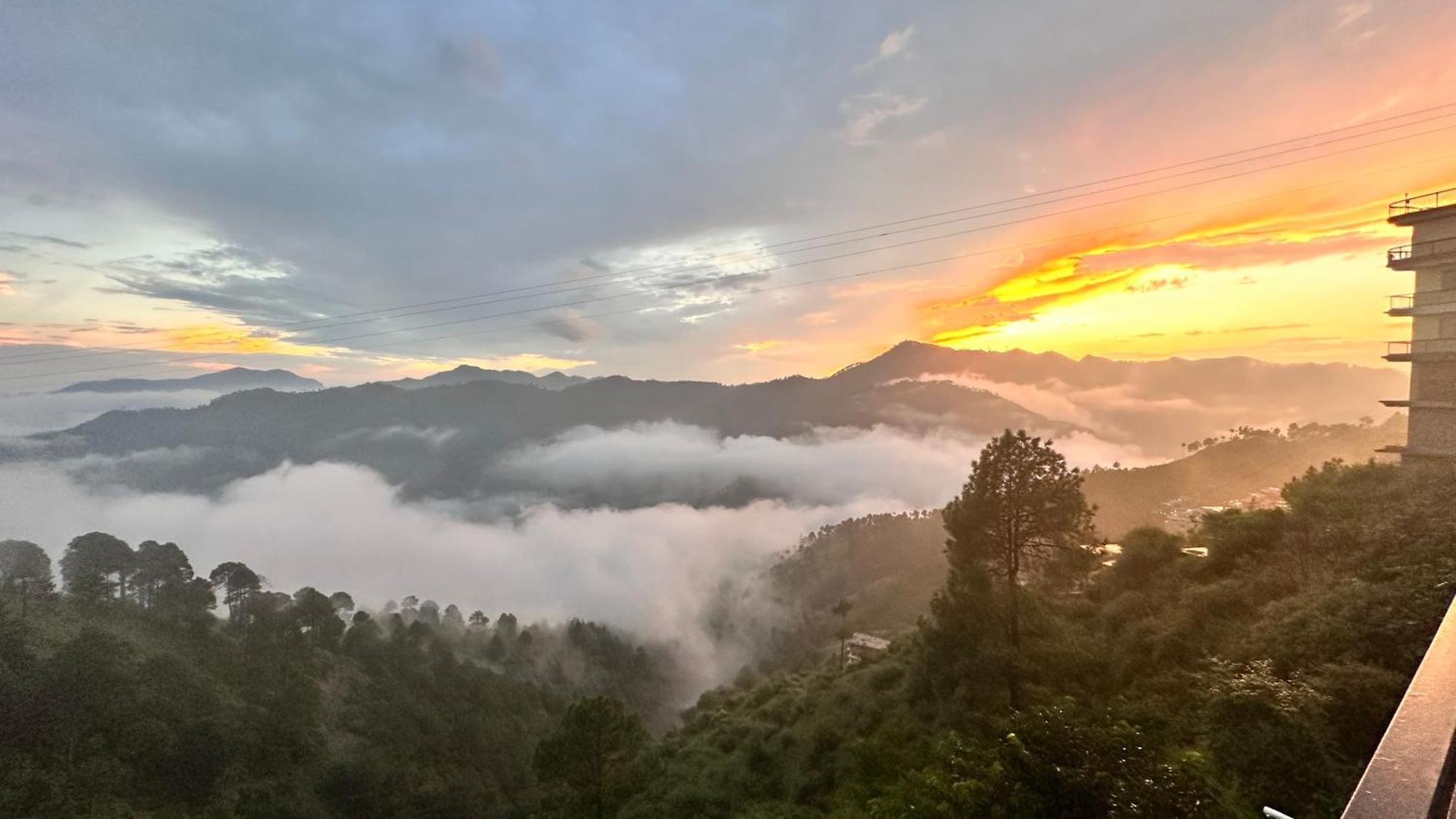 Best Nest Shimla Bagian luar foto